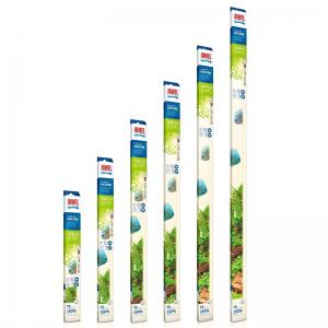 נורות היי לייט טבעי