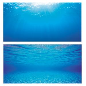 דקורציית רקע דו צדדי - פוסטר 2