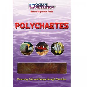 מזון קפוא תולעי ים