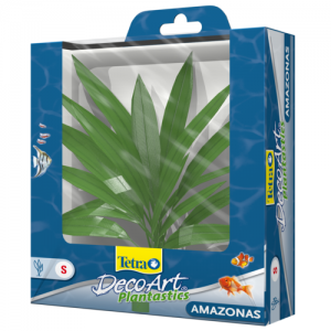 צמח דקורטיבי חרב האמזונס (Amazon sword)