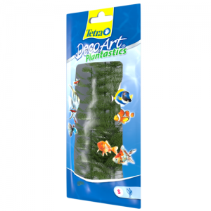 צמח דקורטיבי קבומבה ירוקה (Green Cabomba)