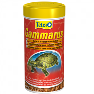 מזון טבעי לצבי מים המכיל סרטני גמרוס שלמים