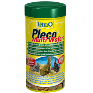 מזון דיסקיות מושלם לכל סוגי הדגים שוכני הקרקעית הצמחוניים הגדולים