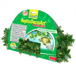 צמח צף דקורטיבי פילודנדרון (Philodendron) לכל סוגי הטרריומים המימיים