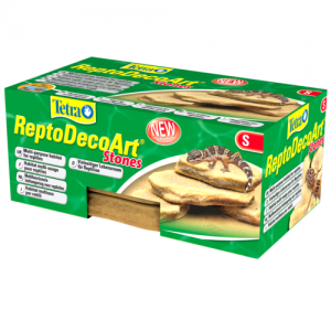 אבנים דקורטיביות לטרריום