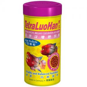 מזון מגורען צף לציקלידים, פלאוור הורן בגודל מעל 15 סמ'