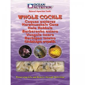 מזון קפוא צדפות שלמות